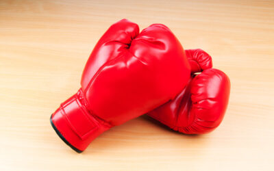 Chaos dans la salle à dîner: quand repas rime avec combat!